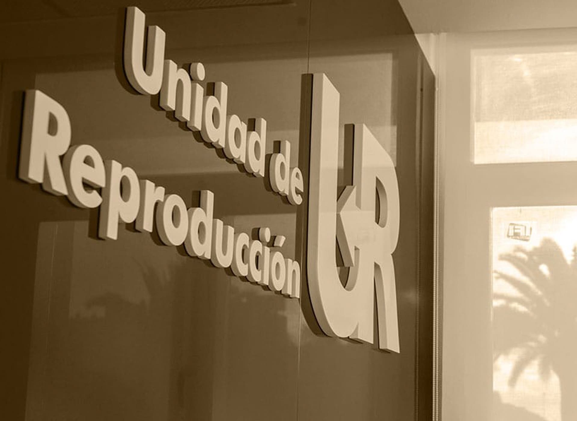 No tienes que resolverlo todo hoy,  pero sí puedes dar el primer paso